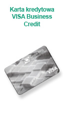 Firma Karta kredytowa Visa Business Credit