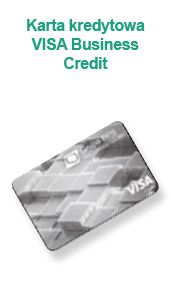 Karta kredytowa VISA Business Credit