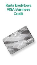 Karta kredytowa VISA Business Credit